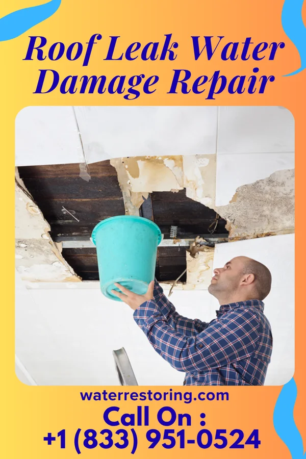 Roof Leak Water Damage Repair in Felton, MN