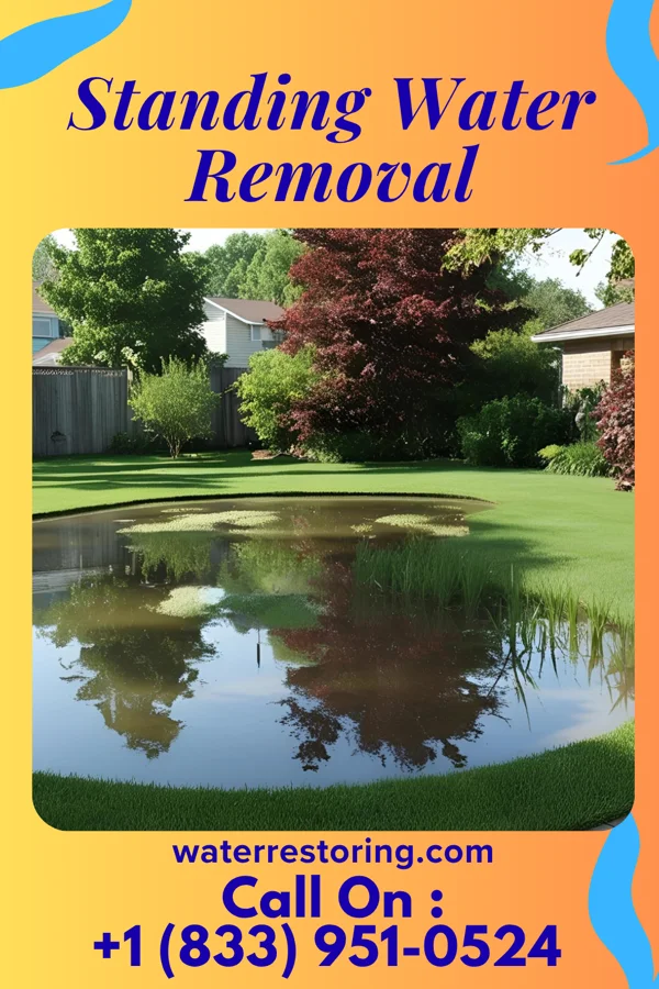 Standing Water Removal in Felton, MN